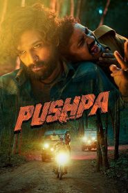 Pushpa : The Rise (2021) Sinhala Subtitles