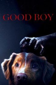 Good Boy (2025) Sinhala Subtitles