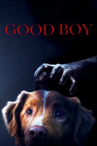 Good Boy (2025) Sinhala Subtitles
