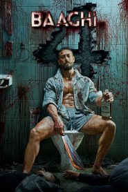Baaghi 4 (2025) Sinhala Subtitles