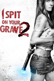I Spit on Your Grave 2 (2013) Sinhala Subtitles